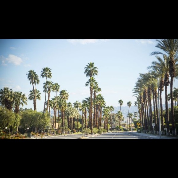 Meet your Posher, Trịnh - Picture 1 of 1